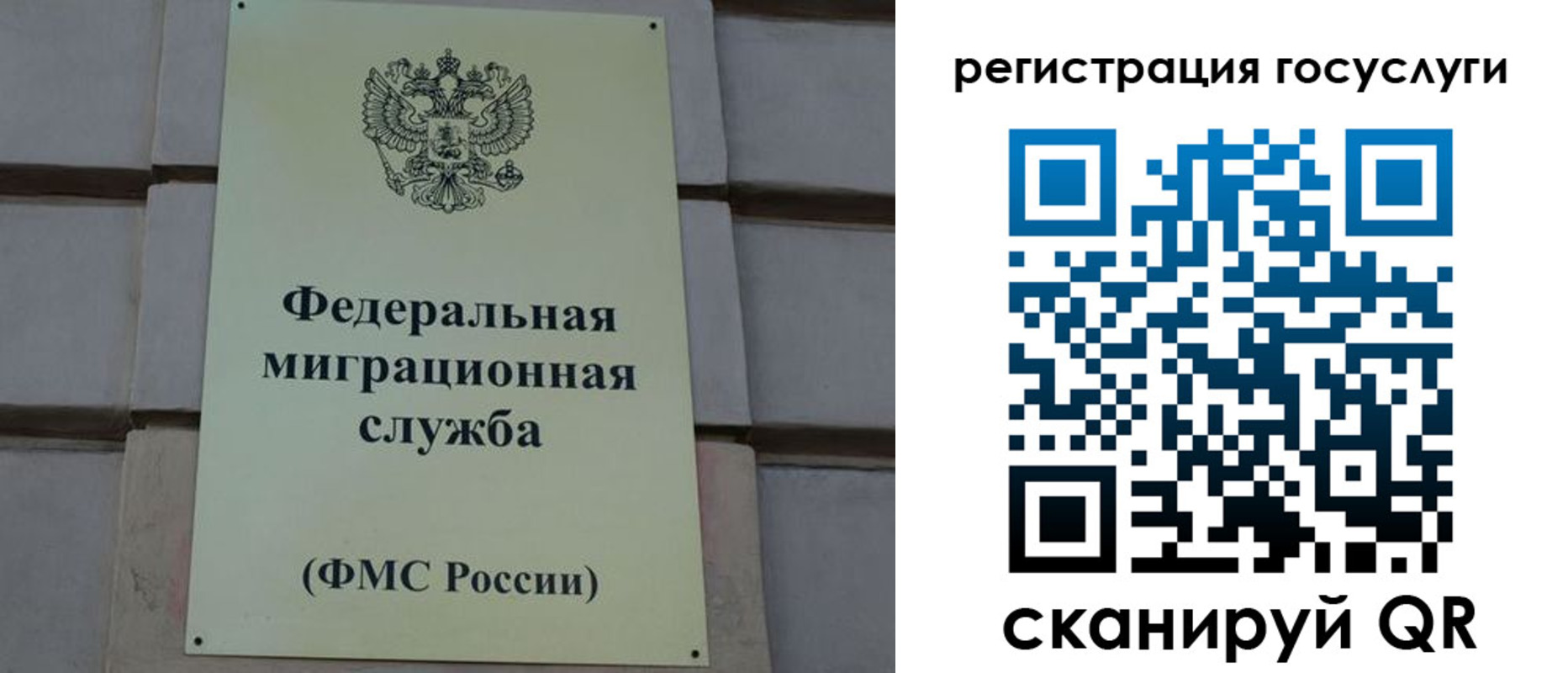 временная регистрация поиск в Шали